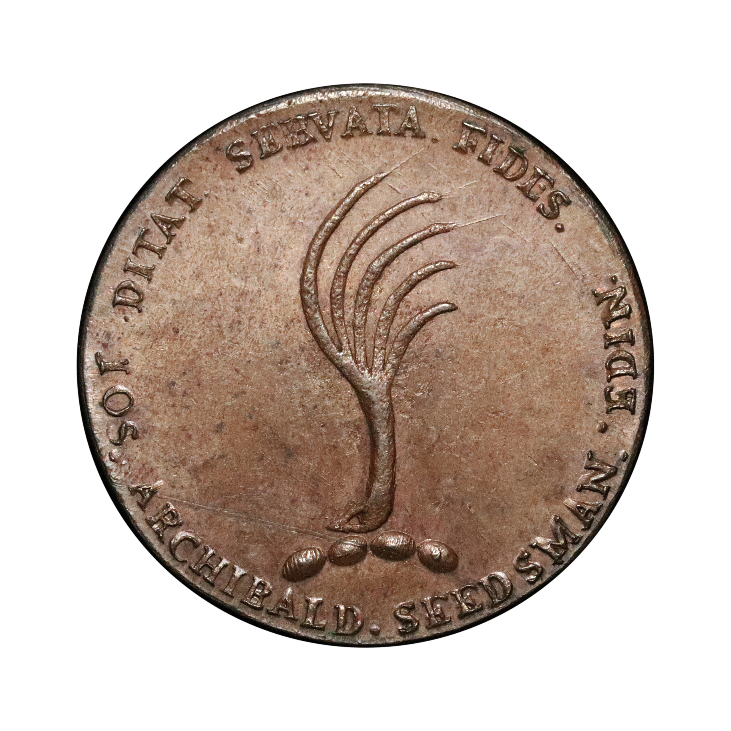 LOT 263 Lothian Edinburgh Archibald DH 9a, Ex-Cokayne - Image 2