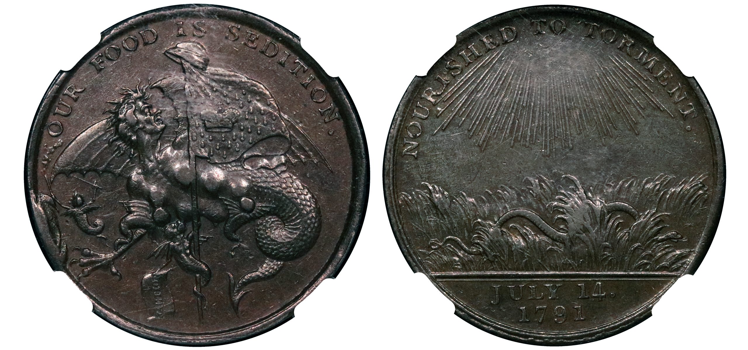 Lot 257 - Warwickshire Monster Sedition penny D&H 34, Rare, NGC 55