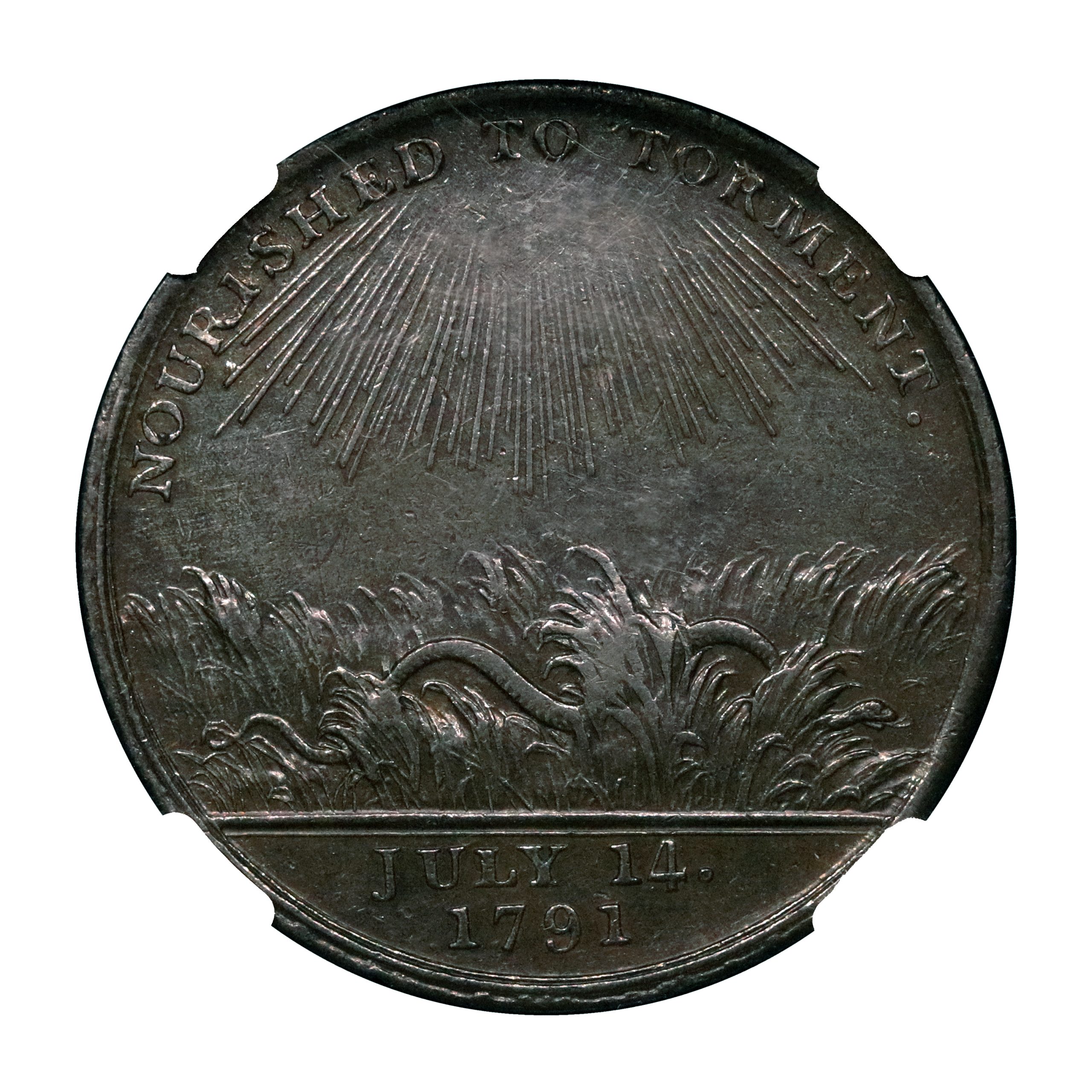 Lot 257 - Warwickshire Monster Sedition penny D&H 34, Rare, NGC 55 - Image 3